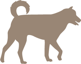 犬 イラスト